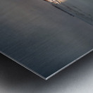 Maritime Melancholy: Shipwrecked Serenity Metal print