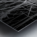 Enchanting Mangrove Tapestry: A Dance of Light and Shadows Impression metal