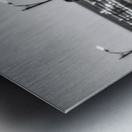 Oceans Guardian: Black and White Infrared Capture of Pelican on  Impression metal