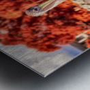 Pier Perch: A Quest for the Majestic Pelican at Saint Simons Isl Metal print