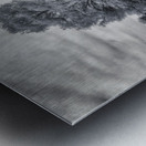 Mystical Twins: Unveiling the Beauty of Venetian Gardens in Lees Metal print