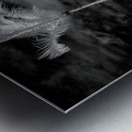 Texture of the Tropics Metal print