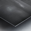 Driftwood Dreams: Bald Point State Park Metal print