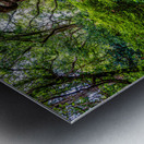 Exploring the Enchantment: A Journey through Elizabethan Gardens Metal print