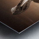 Coastal Guardians Metal print