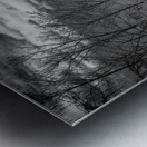 Whispers of the Bayou Metal print