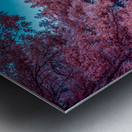 Pink Arches Metal print