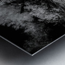 Desert Trees Shadowy Dance Metal print