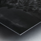 Shadowed Path to Tranquil Peaks Metal print