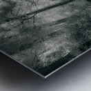 Enchanted Path: A Rain Kissed Journey in Natural Bridge State Metal print