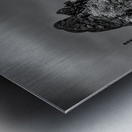 Sylvan Serenity: A Monochrome Tale of Natures Harmony in Custer  Metal print