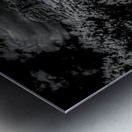 Desert Majesties in Monochrome Metal print