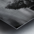 Mueller Aspen Series: Natures Finale Metal print