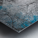 Infrared Exploration: Unveiling the Beauty of Seminary Bells in  Metal print