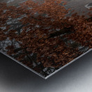 Winters Passage: Confederate Avenue Metal print