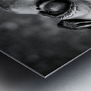 In the Eyes of War Impression metal