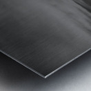 Pioneers Legacy Metal print