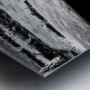 Solitary Sentinel Metal print