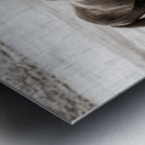 Wild Bonds   Wyoming Fellowship Metal print