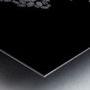 Lily Pad Dance Metal print