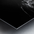 Monument of Serenity and Shadows Metal print