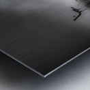 Contemplation Before the Storm Metal print