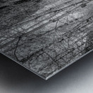 Mystical Journey: Sylvan Lake Wooden Trail in Infrared Metal print