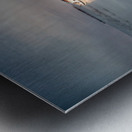 Maritime Melancholy: Shipwrecked Serenity Metal print