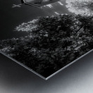 Sanctuary of Timeless Shadows Metal print