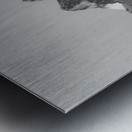 Tetons Dark Prelude Metal print