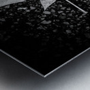 Natures Blueprint Metal print