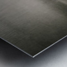 The Sentinel in the Whiteout Metal print