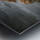 Guardian of the Bayou Country Metal print