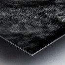 Soulful Gaze of the Bison Impression metal