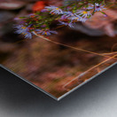 Autumns Last Dance Impression metal