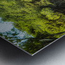 Where the Mangroves Whisper Metal print