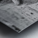 Shaggy Symmetry Metal print