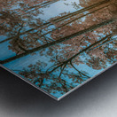 Spiritual Splendor: Capturing the Serenity of a Rural Church Metal print