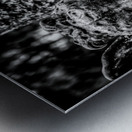 Silent Sorrow: Unveiling the Grieving Guardian at Oak Grove Cemetery Metal print