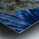 Casino Oak Metal print