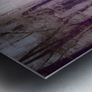 Swampland Metal print