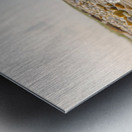 Shoreline Serenade Metal print