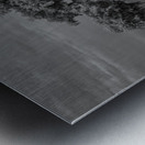 Lone Tree in Saint Bernards-1 Metal print