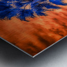 Radiant Dusk: Capturing the Charm of Inverness Florida Metal print