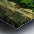 Florida Dreamscapes: Indian Lake State Forest Impression metal