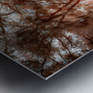 The Bench Metal print