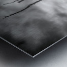 Riverside Resilience: Patuxent Rivers Weathered Tree in Black and White Infrare Metal print