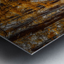 Golden Swamp Walk Impression metal