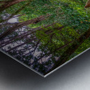 Serene Seat Metal print