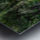 Solitary Trails: Melancholy Path Metal print